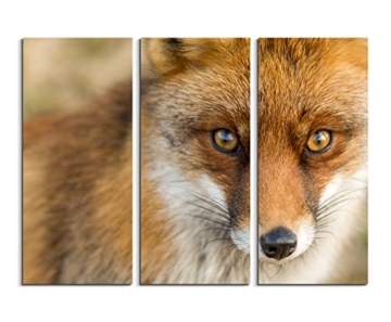 3 teiliges Leinwand-Bild 3x90x40cm (Gesamt 130x90cm) Tierfotografie – Roter europäischer Fuchs auf Leinwand exklusives Wandbild moderne Fotografie für ihre Wand in vielen Größen - 2