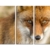 3 teiliges Leinwand-Bild 3x90x40cm (Gesamt 130x90cm) Tierfotografie – Roter europäischer Fuchs auf Leinwand exklusives Wandbild moderne Fotografie für ihre Wand in vielen Größen - 2