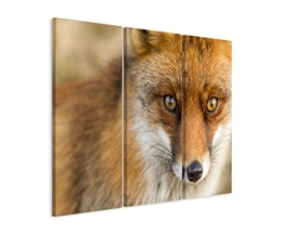 3 teiliges Leinwand-Bild 3x90x40cm (Gesamt 130x90cm) Tierfotografie – Roter europäischer Fuchs auf Leinwand exklusives Wandbild moderne Fotografie für ihre Wand in vielen Größen - 1