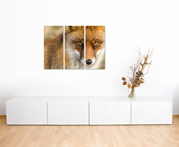 3 teiliges Leinwand-Bild 3x90x40cm (Gesamt 130x90cm) Tierfotografie – Roter europäischer Fuchs auf Leinwand exklusives Wandbild moderne Fotografie für ihre Wand in vielen Größen - 4
