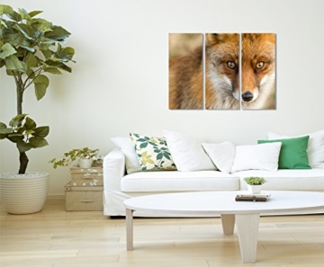 3 teiliges Leinwand-Bild 3x90x40cm (Gesamt 130x90cm) Tierfotografie – Roter europäischer Fuchs auf Leinwand exklusives Wandbild moderne Fotografie für ihre Wand in vielen Größen - 5