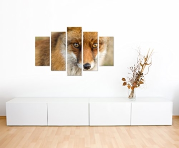 Bilderskulptur 5 teilig Breite 150cm x Höhe 100cm Tierfotografie – Roter europäischer Fuchs auf Leinwand exklusives Wandbild moderne Fotografie für ihre Wand in vielen Größen - 4