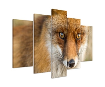 Bilderskulptur 5 teilig Breite 150cm x Höhe 100cm Tierfotografie – Roter europäischer Fuchs auf Leinwand exklusives Wandbild moderne Fotografie für ihre Wand in vielen Größen - 1