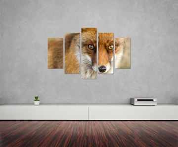 Bilderskulptur 5 teilig Breite 150cm x Höhe 100cm Tierfotografie – Roter europäischer Fuchs auf Leinwand exklusives Wandbild moderne Fotografie für ihre Wand in vielen Größen - 5