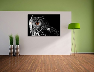 Dark Eule mit orangen AugenFormat: 60x40auf Leinwand, XXL riesige Bilder fertig gerahmt mit Keilrahmen, Kunstdruck auf Wandbild mit Rahmen, günstiger als Gemälde oder Ölbild, kein Poster oder Plakat - 3