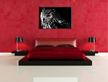 Dark Eule mit orangen AugenFormat: 60x40auf Leinwand, XXL riesige Bilder fertig gerahmt mit Keilrahmen, Kunstdruck auf Wandbild mit Rahmen, günstiger als Gemälde oder Ölbild, kein Poster oder Plakat - 5