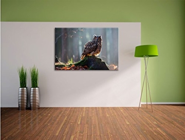 die erschrockene Eule auf dem Baumstamm, Format: 100x70 auf Leinwand, XXL riesige Bilder fertig gerahmt mit Keilrahmen, Kunstdruck auf Wandbild mit Rahmen, günstiger als Gemälde oder Ölbild, kein Poster oder Plakat - 3