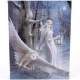 Fantastisches Anne Stokes Design - Midnight Messenger - Ein gotischer Druide / Engel mit weißen Snowy Eulen - Leinwand Bild auf Bild-Wand-Plakette / Wand Kunst - 1