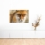 Fotoleinwand 90x60cm Tierfotografie – Roter europäischer Fuchs auf Leinwand exklusives Wandbild moderne Fotografie für ihre Wand in vielen Größen - 5