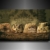 Fotoleinwand24 Bild auf Leinwand - Tiere Eule unter Katzen AA0631 / Bunt / 120x100 cm - 1