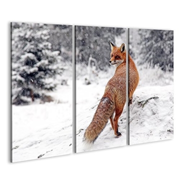 islandburner Bild Bilder auf Leinwand Roter Fuchs im Schnee Poster, Leinwandbild, Wandbilder - 1
