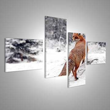 islandburner Bild Bilder auf Leinwand Roter Fuchs im Schnee Poster, Leinwandbild, Wandbilder - 3