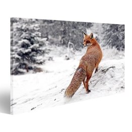 islandburner Bild Bilder auf Leinwand Roter Fuchs im Schnee Poster, Leinwandbild, Wandbilder - 1