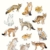JUNIQE® Leinwandbild 30x45cm Füchse Kinderzimmer & Kunst für Kinder - Design „Foxes“ (Format: Hoch) - Leinwand, Bilder auf Leinwand & Leinwanddrucke von unabhängigen Künstlern - Kunst mit Füchsen - entworfen von Amy Hamilton - 1