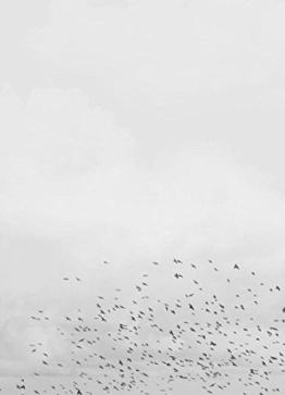 JUNIQE® Leinwandbild 30x45cm Schwarz & Weiß Himmel & Wolken - Design „Landscape No. 41“ (Format: Hoch) - Leinwand, Bilder auf Leinwand & Leinwanddrucke von unabhängigen Künstlern - Fotografie & Foto Kunst - entworfen von typealive - 1
