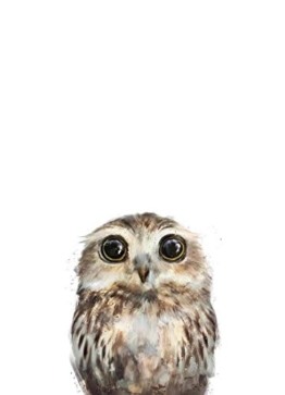JUNIQE® Leinwandbild 40x60cm Kinderzimmer & Kunst für Kinder Eulen - Design „Little Owl“ (Format: Hoch) - Leinwand, Bilder auf Leinwand & Leinwanddrucke von unabhängigen Künstlern - Tierbilder - entworfen von Amy Hamilton - 1