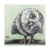 Louise braun kleine süße Eule Owl grün blau Leinwand Holz Bild 30x 30cm - 1