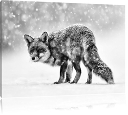 Monocrome, Roter Fuchs im Schneegestöber , Format: 60x40 auf Leinwand, XXL riesige Bilder fertig gerahmt mit Keilrahmen, Kunstdruck auf Wandbild mit Rahmen, günstiger als Gemälde oder Ölbild, kein Poster oder Plakat - 1