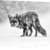 Monocrome, Roter Fuchs im Schneegestöber , Format: 60x40 auf Leinwand, XXL riesige Bilder fertig gerahmt mit Keilrahmen, Kunstdruck auf Wandbild mit Rahmen, günstiger als Gemälde oder Ölbild, kein Poster oder Plakat - 1