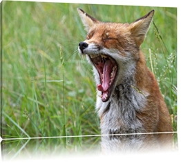 müder Fuchs auf Wildwiese Leinwand, XXL riesige Bilder fertig gerahmt mit Keilrahmen, Kunstdruck auf Wandbild mit Rahmen, günstiger als Gemälde oder Ölbild, kein Poster oder Plakat Format: 100x70 cm - 1