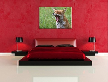 müder Fuchs auf Wildwiese Leinwand, XXL riesige Bilder fertig gerahmt mit Keilrahmen, Kunstdruck auf Wandbild mit Rahmen, günstiger als Gemälde oder Ölbild, kein Poster oder Plakat Format: 60x40 cm - 5