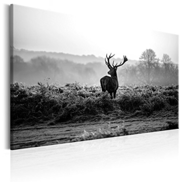 murando - Bilder Hirsch 120x80 cm - Leinwandbild - 1 Teilig - Kunstdruck - modern - Wandbilder XXL - Wanddekoration - Design - Wand Bild - Natur Tier Landschaft g-B-0048-b-c - 1