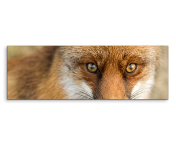 Panoramabild 150x50cm Tierfotografie – Roter europäischer Fuchs auf Leinwand exklusives Wandbild moderne Fotografie für ihre Wand in vielen Größen - 2