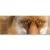 Panoramabild 150x50cm Tierfotografie – Roter europäischer Fuchs auf Leinwand exklusives Wandbild moderne Fotografie für ihre Wand in vielen Größen - 2