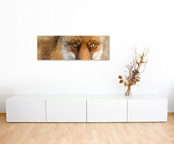 Panoramabild 150x50cm Tierfotografie – Roter europäischer Fuchs auf Leinwand exklusives Wandbild moderne Fotografie für ihre Wand in vielen Größen - 5