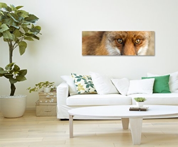 Panoramabild 150x50cm Tierfotografie – Roter europäischer Fuchs auf Leinwand exklusives Wandbild moderne Fotografie für ihre Wand in vielen Größen - 6