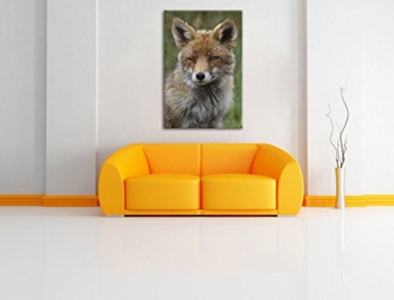 Pixxprint schöner Fuchs Leinwand, XXL riesige Bilder fertig gerahmt mit Keilrahmen, Kunstdruck auf Wandbild mit Rahmen, günstiger als Gemälde oder Ölbild, kein Poster oder Plakat Format: 60x40 cm - 2