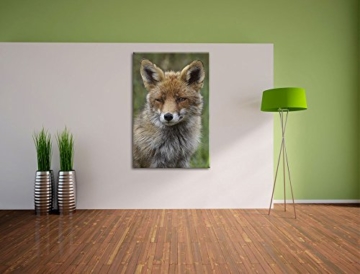 Pixxprint schöner Fuchs Leinwand, XXL riesige Bilder fertig gerahmt mit Keilrahmen, Kunstdruck auf Wandbild mit Rahmen, günstiger als Gemälde oder Ölbild, kein Poster oder Plakat Format: 120x80 cm - 3