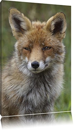 Pixxprint schöner Fuchs Leinwand, XXL riesige Bilder fertig gerahmt mit Keilrahmen, Kunstdruck auf Wandbild mit Rahmen, günstiger als Gemälde oder Ölbild, kein Poster oder Plakat Format: 80x60 cm - 1