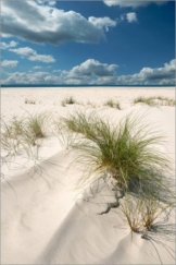 Posterlounge Leinwandbild 20 x 30 cm: Nordsee - Amrum von Reiner Würz RWFotoArt - fertiges Wandbild, Bild auf Keilrahmen, Fertigbild auf echter Leinwand, Leinwanddruck - 1