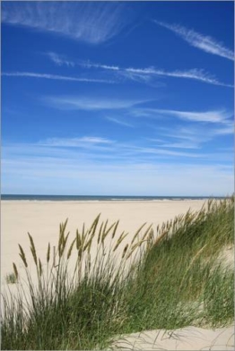 Posterlounge Leinwandbild 20 x 30 cm: Sommer Strandgras von Susanne Herppich - fertiges Wandbild, Bild auf Keilrahmen, Fertigbild auf echter Leinwand, Leinwanddruck - 1