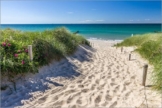 Posterlounge Leinwandbild 30 x 20 cm: Ostsee Strand Weg in Ahrenshoop von Christian Müringer - fertiges Wandbild, Bild auf Keilrahmen, Fertigbild auf echter Leinwand, Leinwanddruck - 1