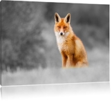 prachtvoller Fuchs schwarz/weiß Format: 120x80 auf Leinwand, XXL riesige Bilder fertig gerahmt mit Keilrahmen, Kunstdruck auf Wandbild mit Rahmen, günstiger als Gemälde oder Ölbild, kein Poster oder Plakat - 1