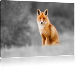 prachtvoller Fuchs schwarz/weiß Format: 60x40 auf Leinwand, XXL riesige Bilder fertig gerahmt mit Keilrahmen, Kunstdruck auf Wandbild mit Rahmen, günstiger als Gemälde oder Ölbild, kein Poster oder Plakat - 1