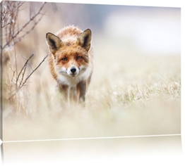 Schleichender fuchs Format: 100x70 auf Leinwand, XXL riesige Bilder fertig gerahmt mit Keilrahmen, Kunstdruck auf Wandbild mit Rahmen, günstiger als Gemälde oder Ölbild, kein Poster oder Plakat - 1