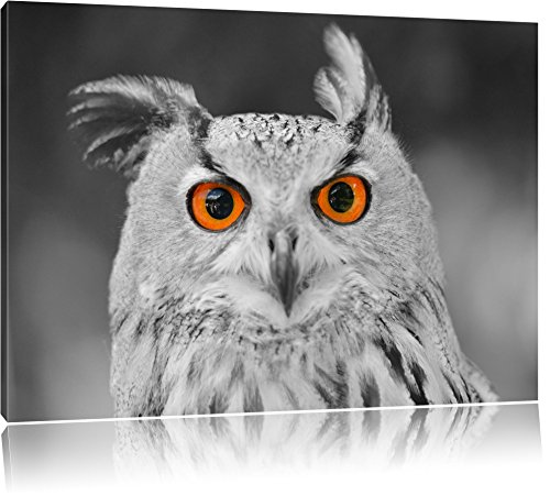 Leinwandbild 80x60 cm SchwarzWeiße Eule mit orangen Augen Leinwandbild 80x60 cm SchwarzWeiße Eule mit orangen Augen