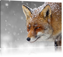 wunderschöner Fuchs im Schnee schwarz/weiß Format: 100x70 auf Leinwand, XXL riesige Bilder fertig gerahmt mit Keilrahmen, Kunstdruck auf Wandbild mit Rahmen, günstiger als Gemälde oder Ölbild, kein Poster oder Plakat - 1