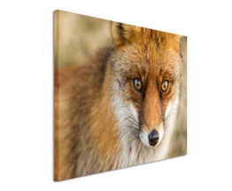XXL Fotoleinwand 120x80cm Tierfotografie – Roter europäischer Fuchs auf Leinwand exklusives Wandbild moderne Fotografie für ihre Wand in vielen Größen - 1