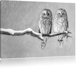 Zwei Eulen in Winterlandschaft Kunst B&W, Format: 100x70 auf Leinwand, XXL riesige Bilder fertig gerahmt mit Keilrahmen, Kunstdruck auf Wandbild mit Rahmen, günstiger als Gemälde oder Ölbild, kein Poster oder Plakat - 1