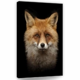 DekoShop Leinwandbild Wandbild Kunstdruck Fuchs AMDPP11912O4 O4 (60cm. x 40cm.) - 1