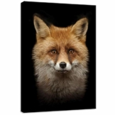 DekoShop Leinwandbild Wandbild Kunstdruck Fuchs AMDPP11912O7 O7 (50cm. x 70cm.) - 1