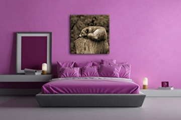 deyoli schlafender Fuchs auf Einem Baumstamm Format: 60x60 Effekt: Sepia als Leinwandbild, Motiv auf Echtholzrahmen, Hochwertiger Digitaldruck mit Rahmen, Kein Poster oder Plakat - 3