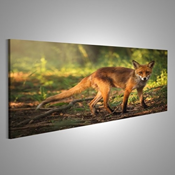 islandburner Bild Bilder auf Leinwand junger Fuchs im Wald Poster, Leinwandbild, Wandbilder - 3