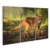islandburner Bild Bilder auf Leinwand Junger Fuchs im Wald Poster, Leinwandbild, Wandbilder - 1