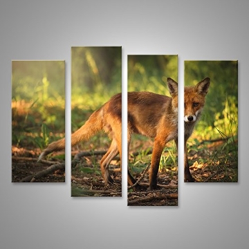 islandburner Bild Bilder auf Leinwand Junger Fuchs im Wald Poster, Leinwandbild, Wandbilder - 3