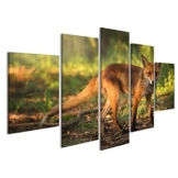 islandburner Bild Bilder auf Leinwand Junger Fuchs im Wald Poster, Leinwandbild, Wandbilder - 1